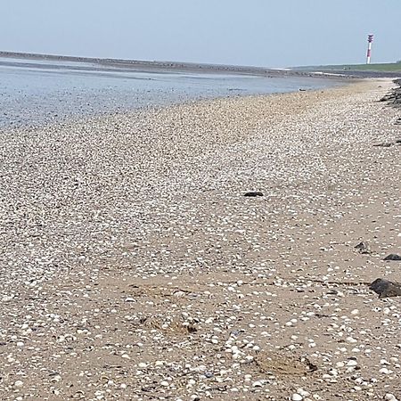 Haus Am Meer Eckwarden Butjadingen Zewnętrze zdjęcie